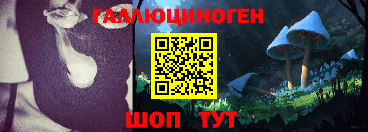 Псилоцибиновые грибы Psilocybe  Галлюциногенные грибы GOLDEN TEACHER  Вход с VPN  Рыбинск 