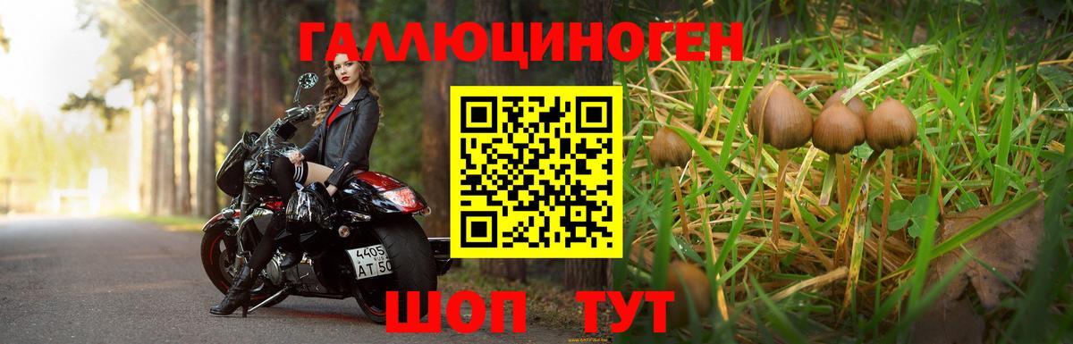 Галлюциногенные грибы прущие грибы Рыбинск